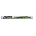 Live Evergreen Tree Seedling in a Clear Presentation Tube
